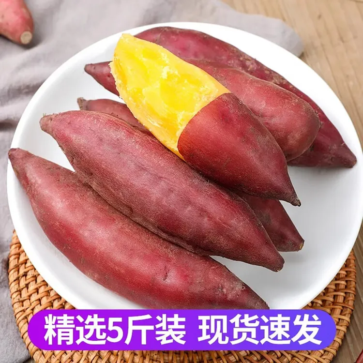 天目山小香薯板栗红薯新鲜农家自种小番薯地瓜蜜薯L商品图