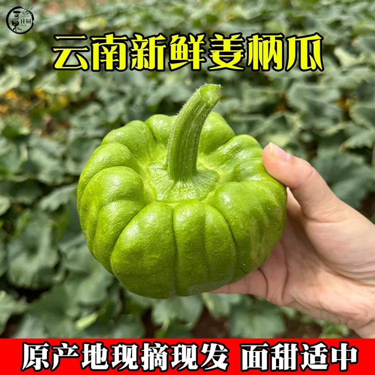 云南姜柄瓜嫩南瓜清甜粉面新鲜蔬菜小麦瓜小绿瓜姜饼产地直发包邮商品图