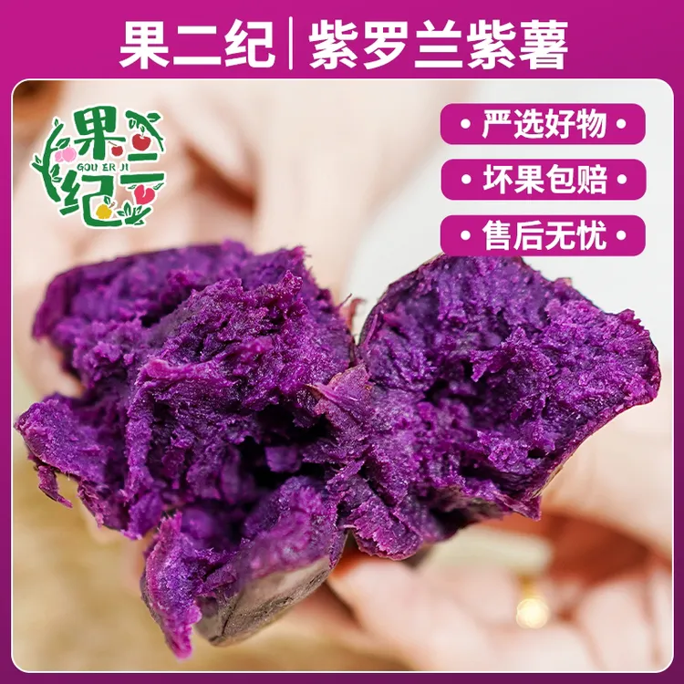 2025新鲜现挖紫罗兰紫薯番薯香甜软糯湖北襄阳直发