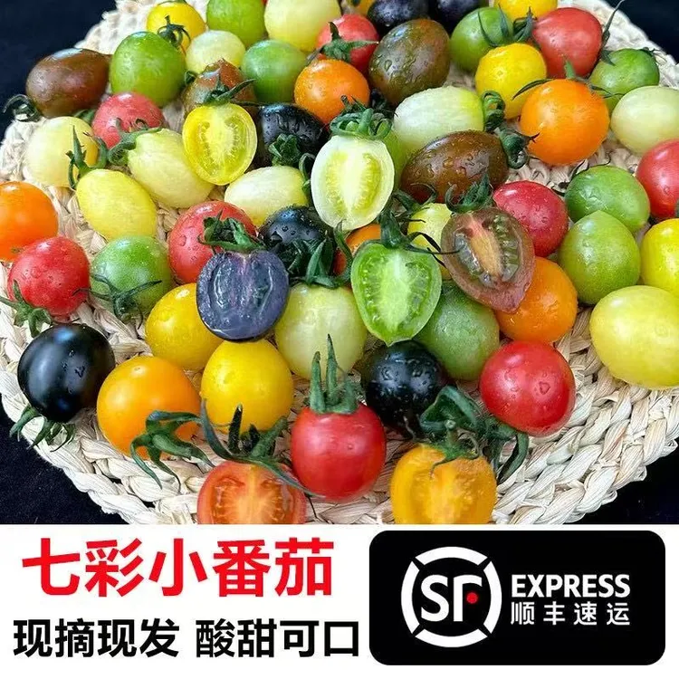 【顺丰包邮】多彩特色口感小番茄随机七种五种新鲜小番茄寿光直发