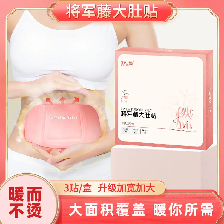 将军藤大肚贴蒸汽艾灸贴 腰腹宫暖自发热暖宝宝艾草贴草本热敷贴