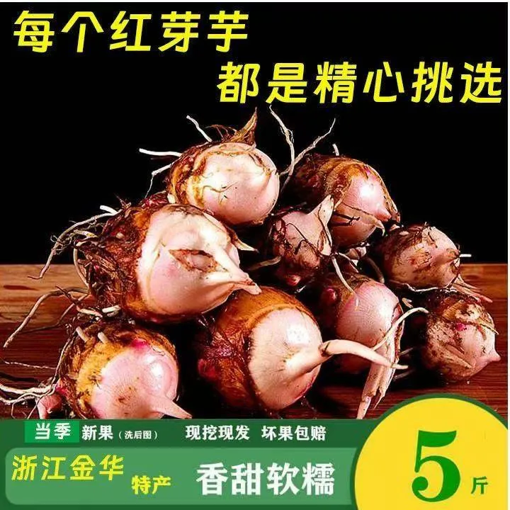 浙江金华红芽芋艿新鲜现挖软糯毛芋头香芋小芋头红芋艿5/斤芋头