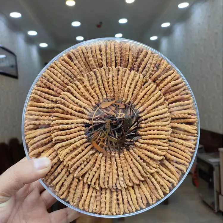 2025年新晒冬虫夏草大统货(4.5根1克,99成干度)