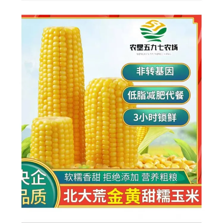 寒疆果都鲜食粘玉米甜糯糯玉米