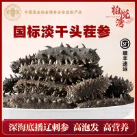 大连淡干海参国标底播辽刺参高泡发率 源头直供