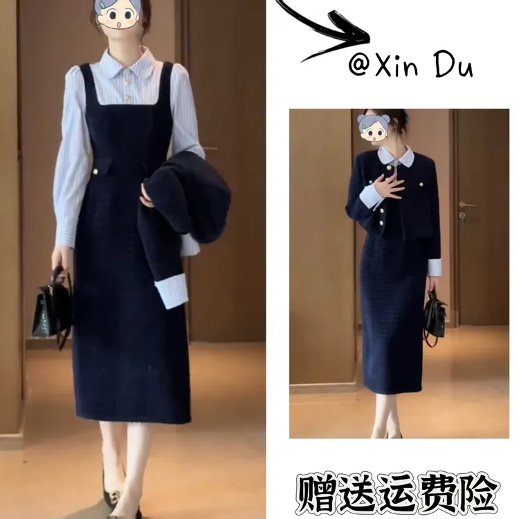 2025秋季新款时尚显瘦气质女士网红洋气两件套百搭款D23301