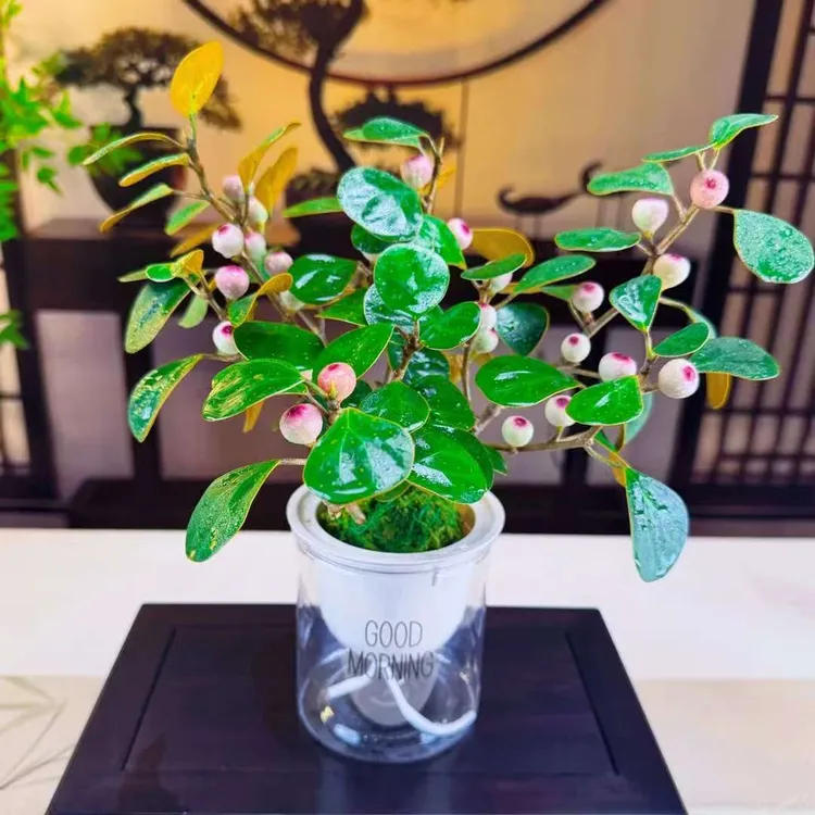 小盼菩提禅意带花盆绿植盆栽中式室内客厅好养茶桌办公室绿植商品图