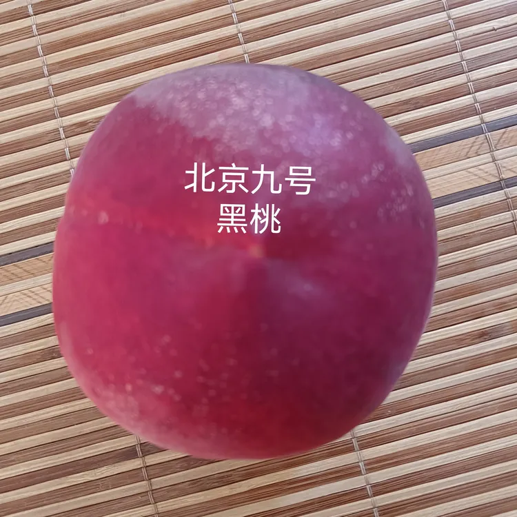 秦安水蜜桃“北京九号”然核蜜桃