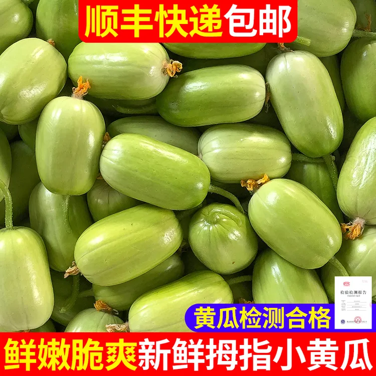 鲜嫩水果玉女黄瓜生拇指黄瓜寿光金童白玉苹果芭乐东北精品店水果