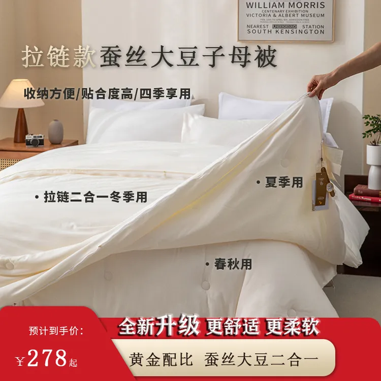 蚕丝大豆二合一子母被四季被学生宿舍春秋被子秋冬款被芯结婚喜被