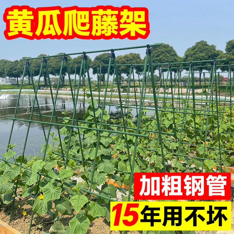 【苏塑】黄瓜豆角爬藤架庭院种菜架子瓜果支撑杆花架户外种植番茄架
