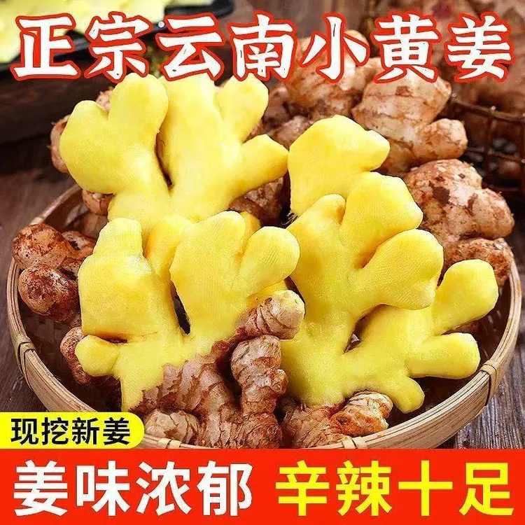 【助农专属】正宗云南高山小黄姜老姜调味姜生姜仔姜泡姜姜香浓郁