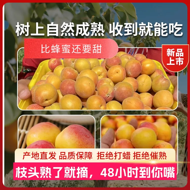 京东空运冷链—包邮正宗新疆吊干杏小红杏现摘现发新鲜应季甜多汁
