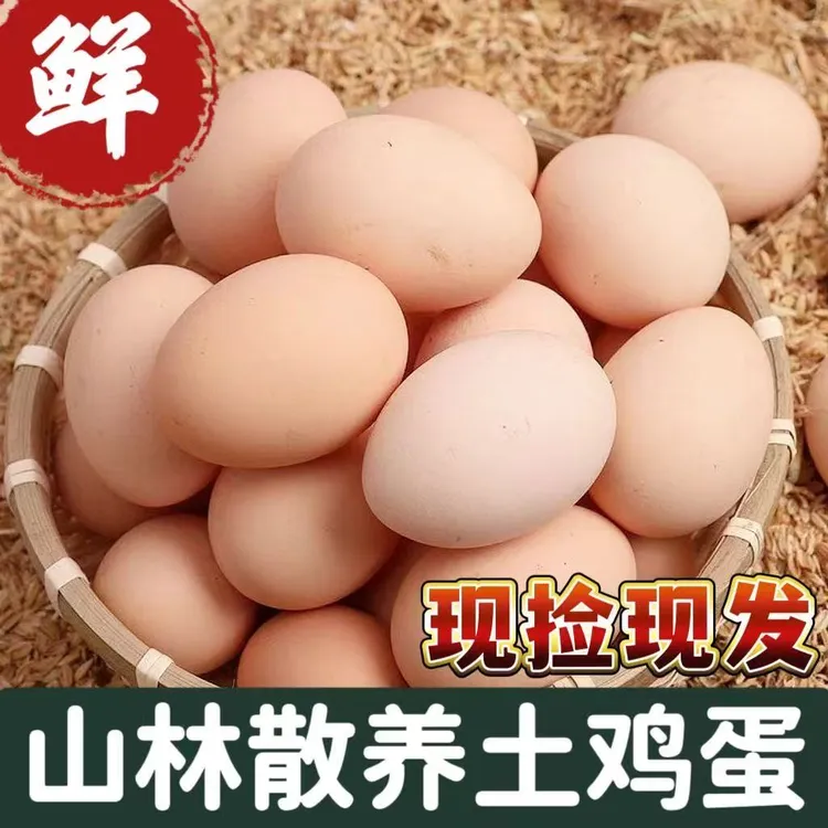 50枚农家散养土鸡蛋40-45g