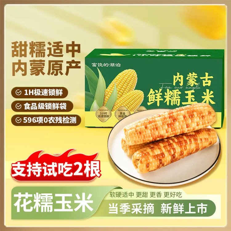 25年新季彩糯玉米8根 整箱1.92kg 甜糯玉米营养早餐非转基因T