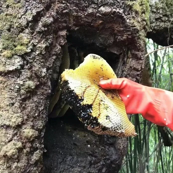 云南高山黑蜂蜜纯正天然富含花青素