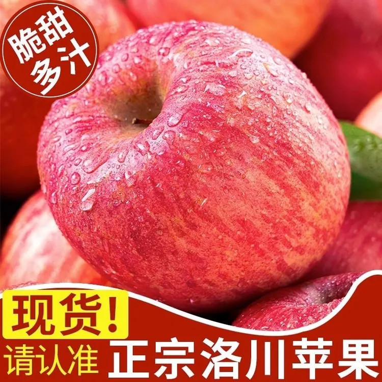 现摘现发正宗洛川苹果陕西红富士新鲜苹果皮薄肉厚脆甜可口5-10斤