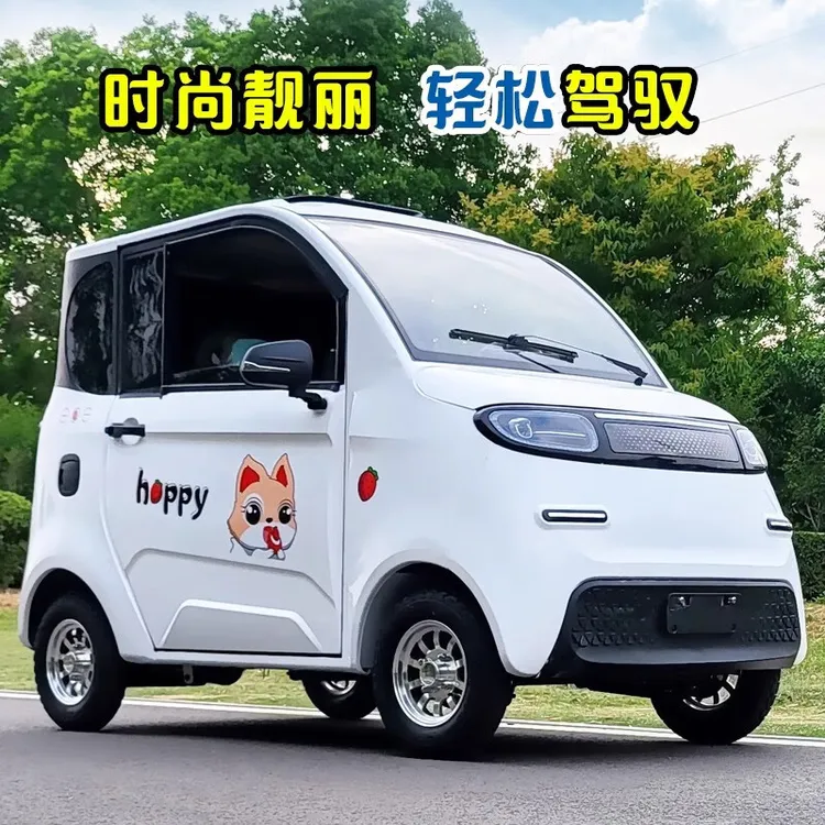 新能源四轮电动车家用新款小型女士代步车老头乐轿车接送封闭电瓶