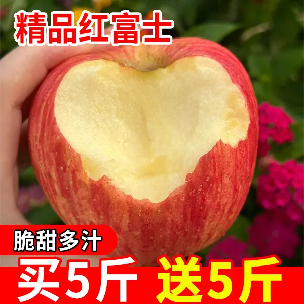 脆甜多汁 头茬红富士苹果 多仓库发货 坏果包赔 买5斤送5斤