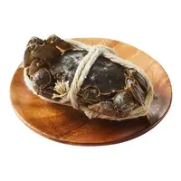 鲜活大闸蟹（母蟹)  ( 1.8-2.2两)/90-110g/只 