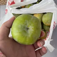 【村支书姚其飞】当涂农家新鲜采摘秋季柿子
