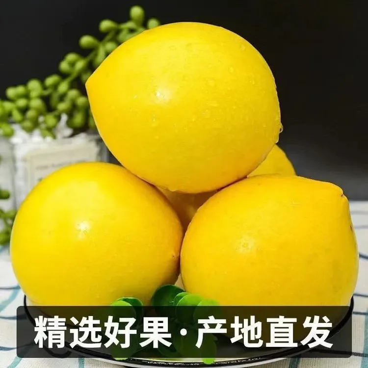(顺丰包邮)广西特产黄晶果软糯香甜应季水果产地直发
