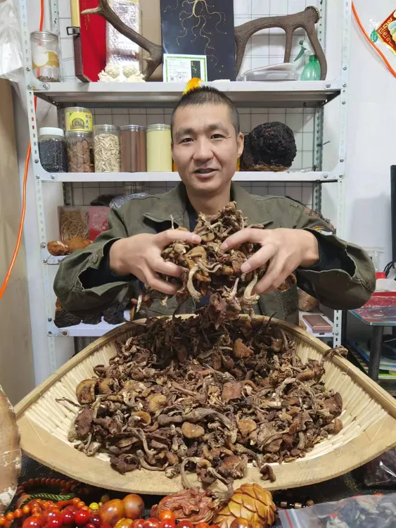 野生榛蘑(一斤)包邮