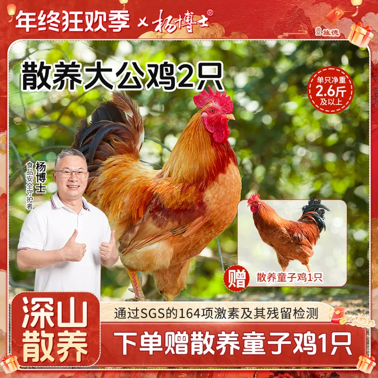 【2只散养大公鸡送童子鸡】杨博士土鸡深山散养新鲜现杀红烧营养