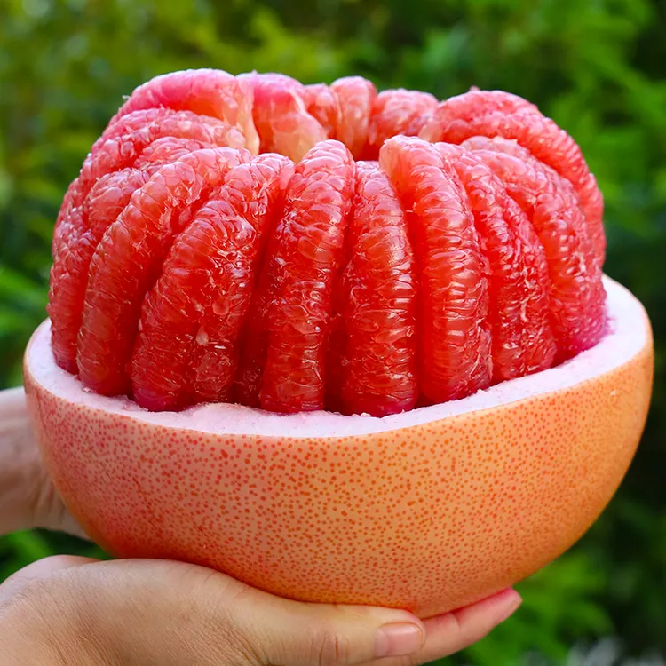 【自然搭档】福建平和三红柚4.5-9斤新鲜水果红心蜜柚柚子多仓发