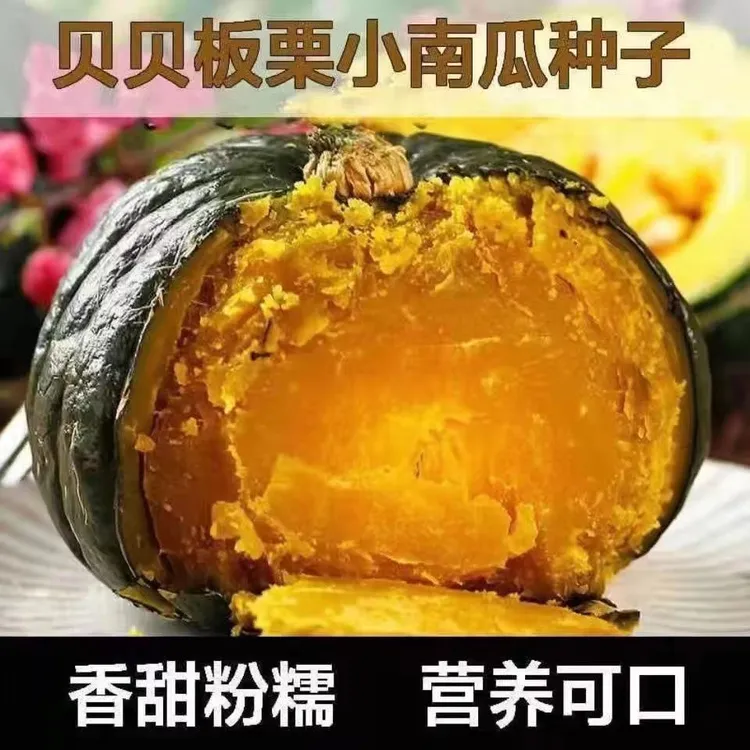 【贝贝南瓜种子】四季种植板栗味蔬菜香甜糯南瓜种籽商品图