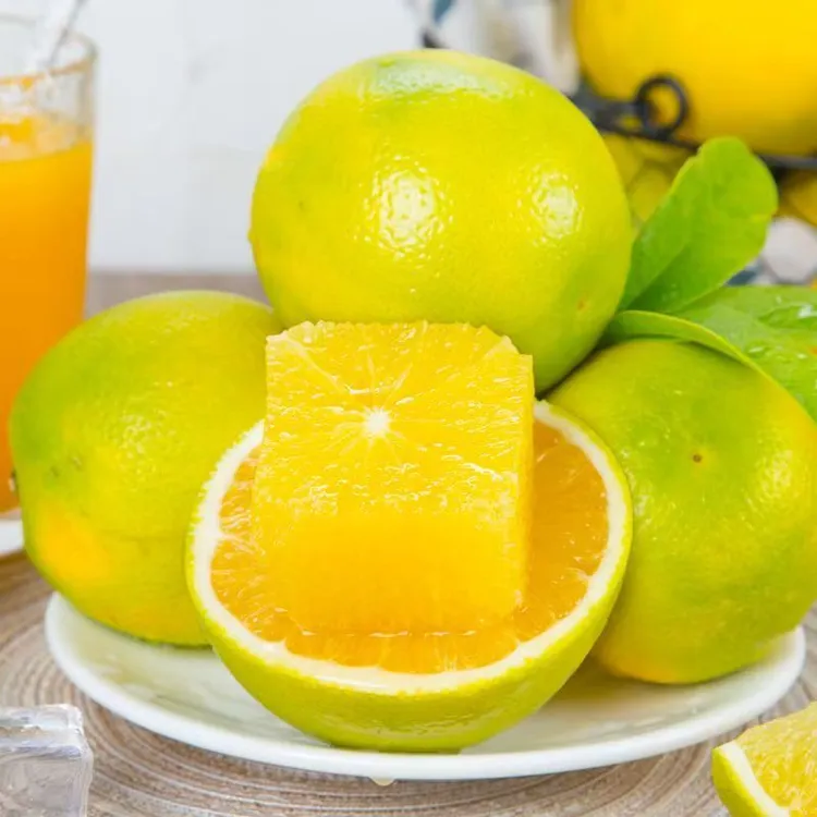 【哀牢甄选】云南哀牢山青皮冰糖橙新鲜当季水果皮薄多汁香甜可口