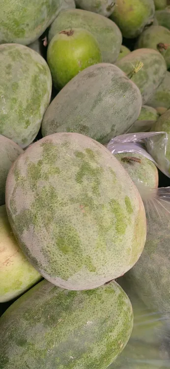 【现摘现发】水果小冬瓜迷你冬瓜新鲜采摘可生吃凉拌炖菜冬瓜5/9斤