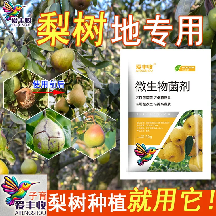 爱丰收梨树地专用微生物菌剂梨树专用微生物农用酥梨微生物肥料商品图