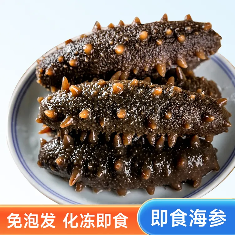 大连底播鲜食海参
