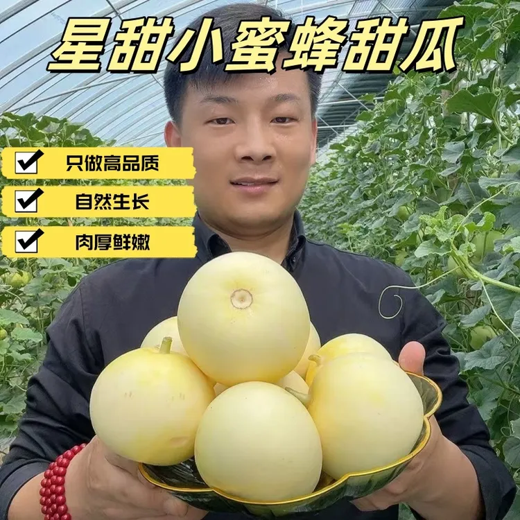 〖顺丰包邮〗山东小蜜蜂甜瓜星甜20新鲜采摘当季水果蜜罐香瓜蜜瓜