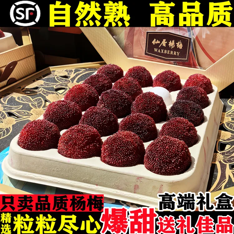 仙居杨梅仙居杨梅新鲜水果当季整箱颗粒装现摘现发东魁杨梅鲜果