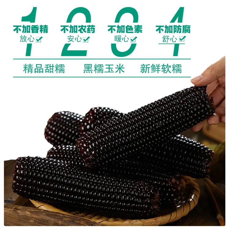 【大甜专属】【试吃2根】25年头茬东北黑糯玉米10根装整箱5斤