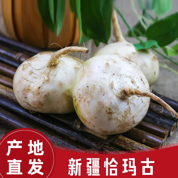 新疆恰玛古碱性蔬菜柯坪特产芜菁炖肉凉拌炒菜营养产地直发