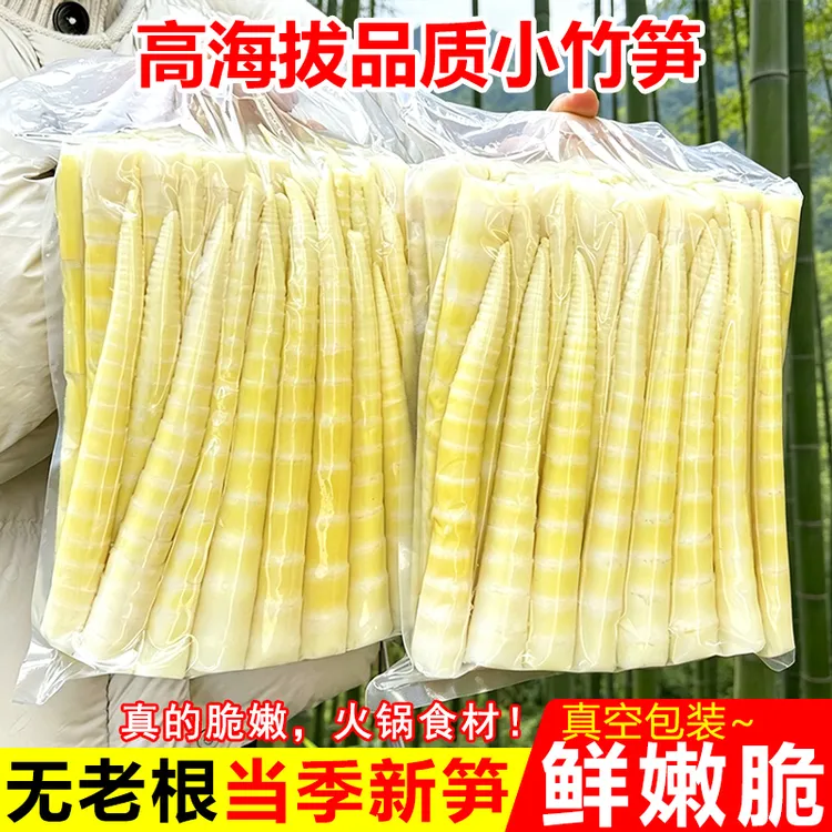 四川高山去壳新鲜竹笋嫩笋尖清水笋火锅笋脆嫩食材商品图