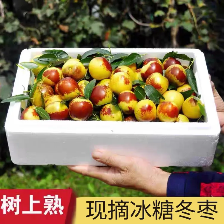【邮政补贴送2斤】冰糖冬枣5斤新鲜水果应季脆甜枣子青红蜜枣现采