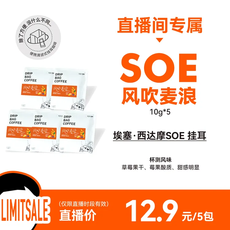 风吹麦浪 西达摩日晒 中烘挂耳咖啡5包散装便携挂耳咖啡