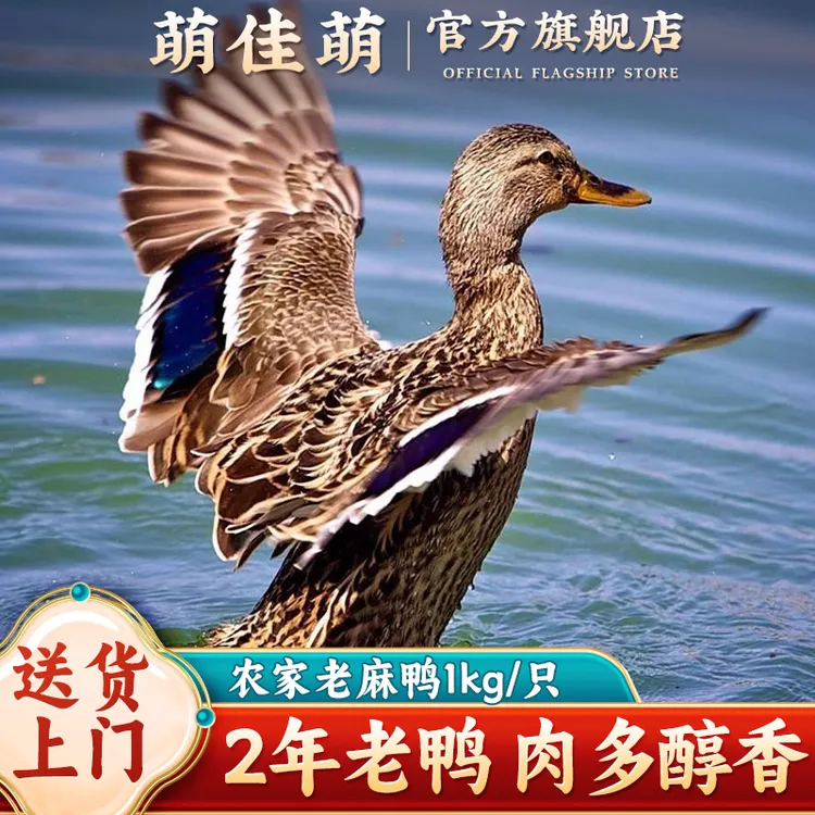 【顺丰冷链】散养老麻鸭1000g/只整鸭吃小鱼小虾三年老麻鸭