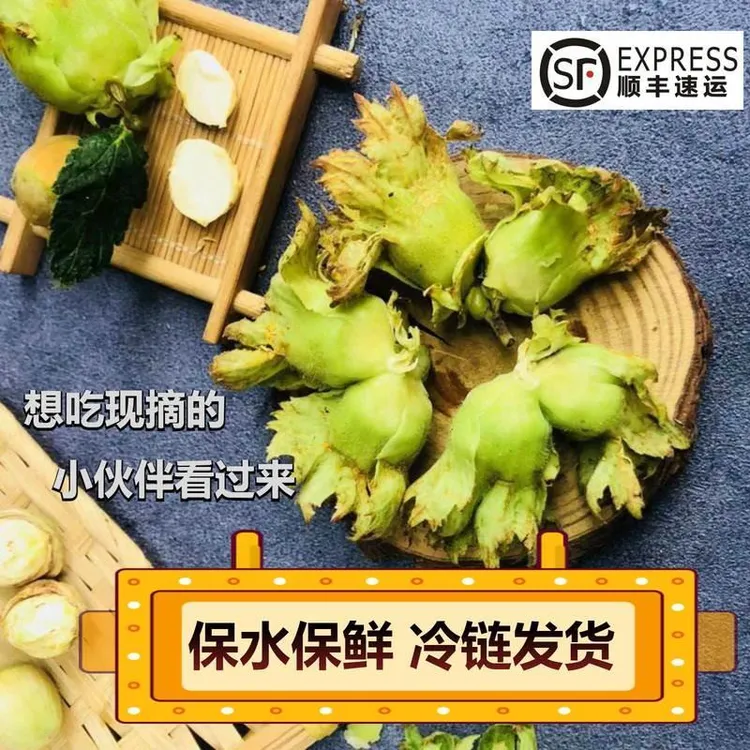绿皮榛子新鲜大榛子脱皮2024年新货东北特产桓仁坚果带皮水仁包邮