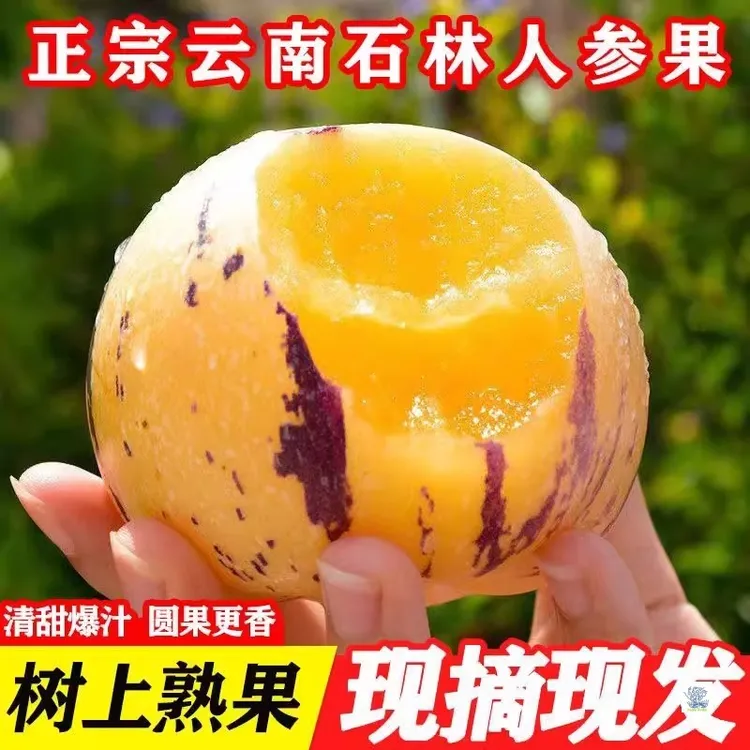 不打药新鲜云南石林树熟人叁果圆果人生果娃娃果黄肉坏果包赔大果