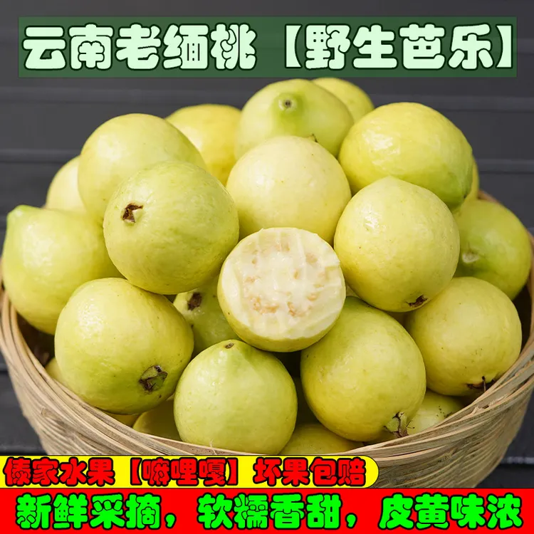 云南老缅桃野生软脆小芭乐番石榴软糯珍珠白心牛奶芭乐果嘛哩嘎