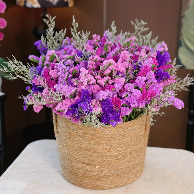 四色勿忘我云南基地直发真花鲜花一斤修剪发货 干养花期长2-3年 商品图