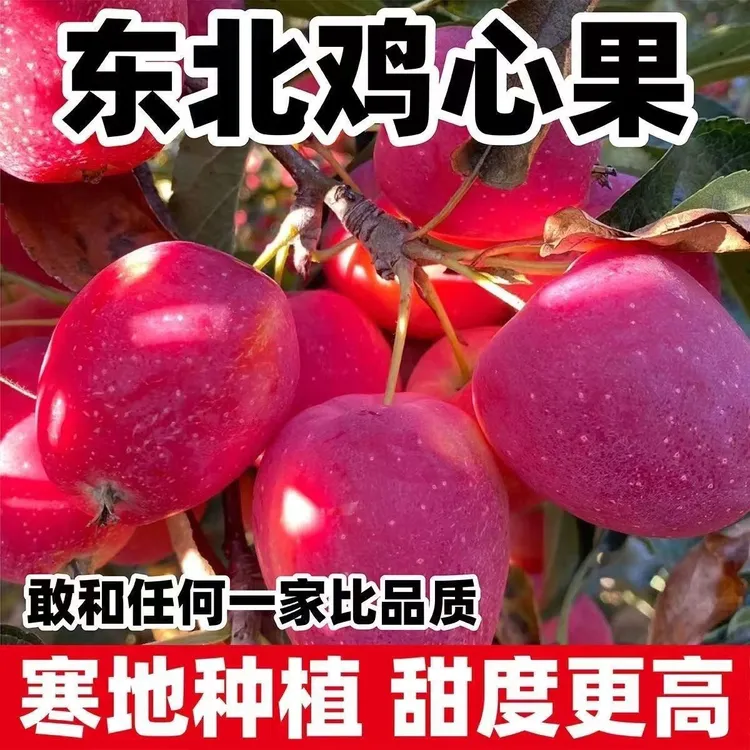 东北特产鸡心果锦绣海棠果冰糖心小苹果新鲜采摘脆甜多汁