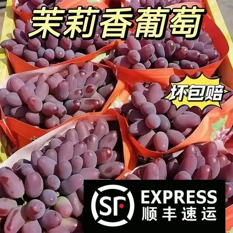 顺丰茉莉香无籽葡萄新鲜当季清甜水果提子树葡萄饱满酸甜可口商品图