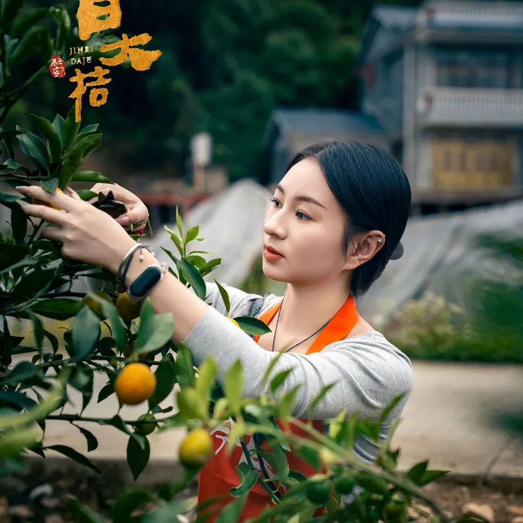 【第三代】2斤送1斤大果正宗广西融安脆蜜金桔脆蜜金柑纯甜顺丰包邮