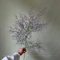 【灵动水晶情人草】勿忘我配花